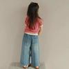 Girls Summer Loose Multi-pocket Elastic Waist Jeans Middle Class Children Daily Casual Wide-legged Pants