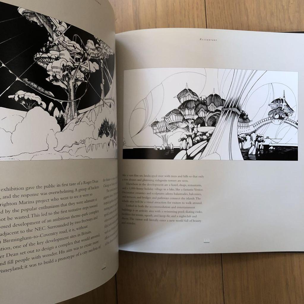 [USED] Roger Dean Magnetic Storm Books