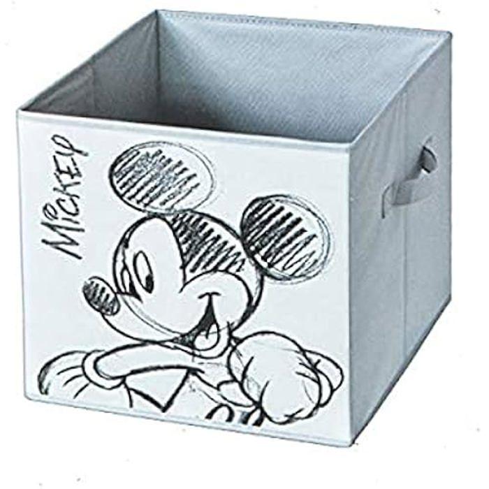 Boîte Cube - DOMOPAK LIVING - Mickey Et Minnie - 32 X 32 X 32 Cm - Plastique - Design Contemporain