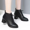 Women's Leather Mesh Hollow Out Cool Boots Spring Summer New Block Heel Pointed Toe Breathable High Heel Zippers Ankle Boots