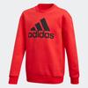 adidas Sweatshirt Red Teenagers FM4435