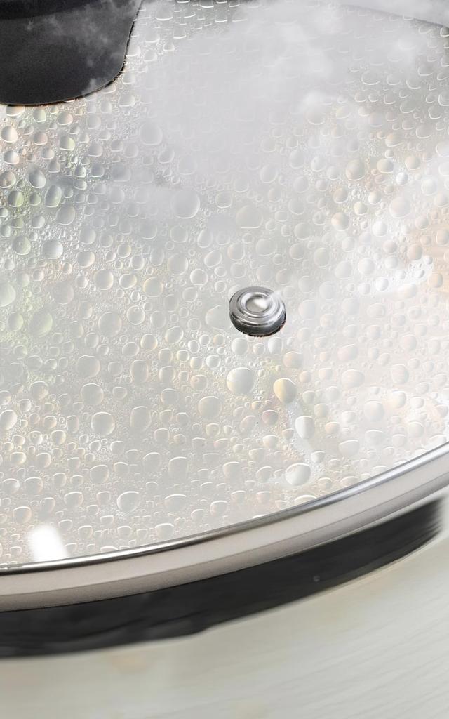 every U. Tempered Glass Lid with Steam Vent for Frying Pans and Pots, Transparent Tempered Glass with Chopstick Rest (26cm)