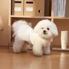 Princess Style Pet Dresses Lace Detail Pet Vest Princess Dog Skirts  For Dogs