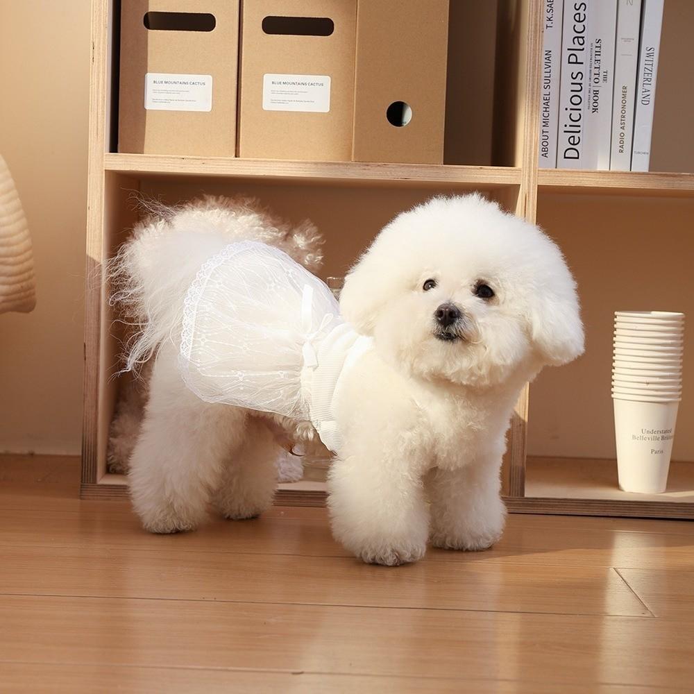 Princess Style Pet Dresses Lace Detail Pet Vest Princess Dog Skirts For Dogs