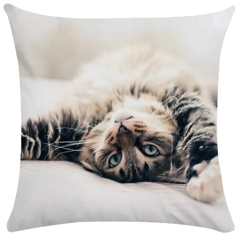 Lovely Pet Cat Pillow Cases Sleeping Bubble Black Cats Animal Cushion Cover Sofa Living Room Home Decorative Custom Pillowslip
