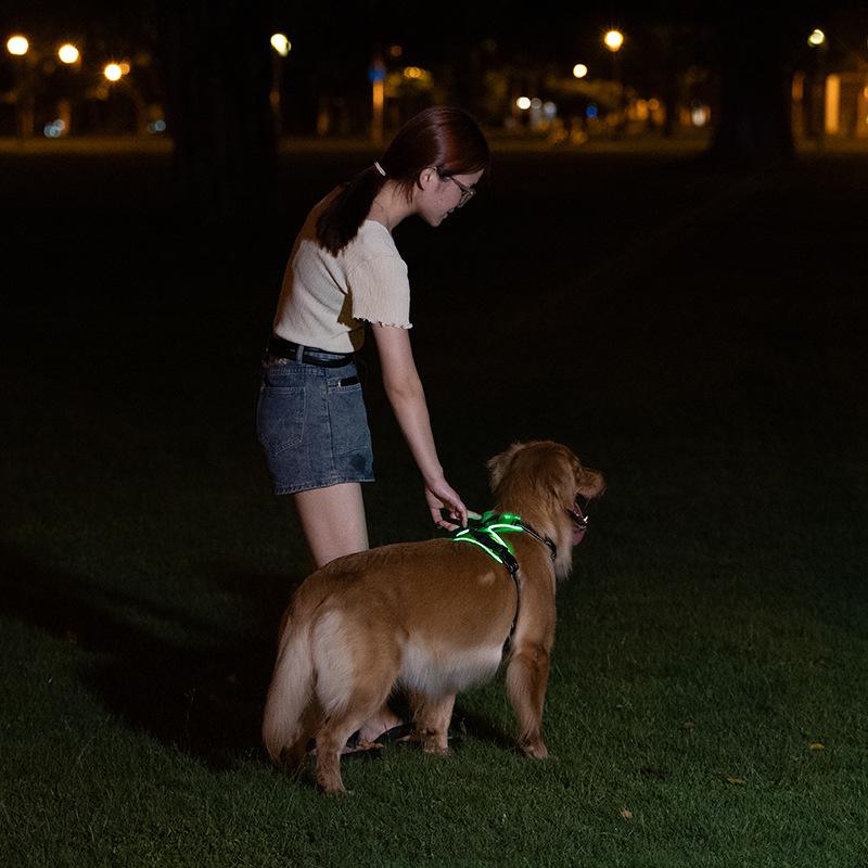 LED Flashing Dog Vest with USB Charging and Explosion-Proof Design