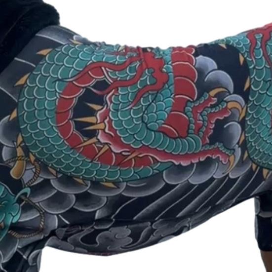 Drakono tatuiruotės augintinio kombinezonas, viso kūno keturkojų šunų apranga, tampri stilinga šunų maikutė, visų sezonų apranga mažų ir didelių veislių šunims ir katėms