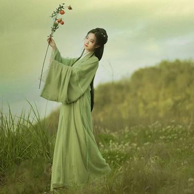 Abito da donna verde Hanfu cinese Wei e Jin stile fata