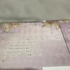 The Dreaming Kingdom and the 100 Sleeping Princes ~Oto 100 Series~ Vol. 2: