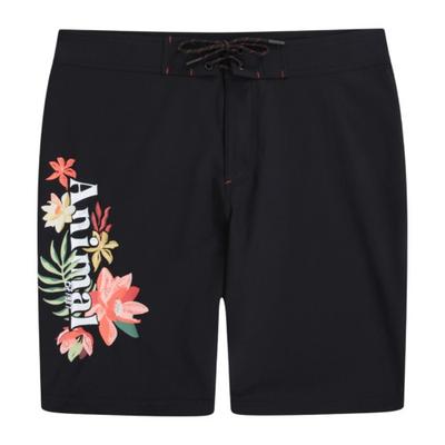 Nora Classic Boardshorts für Damen/Damen