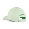 Șapcă Essential Elevated Blossom BB Cap 025362 24 Culoare Verde [PUMA] Primăvară/Vară Verde/Arhivă (01)