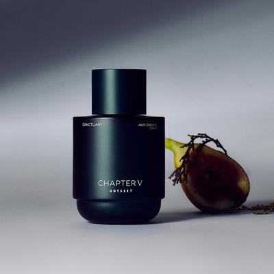 Chapter V Anti-oxidant Sanctuary Toner 140mL