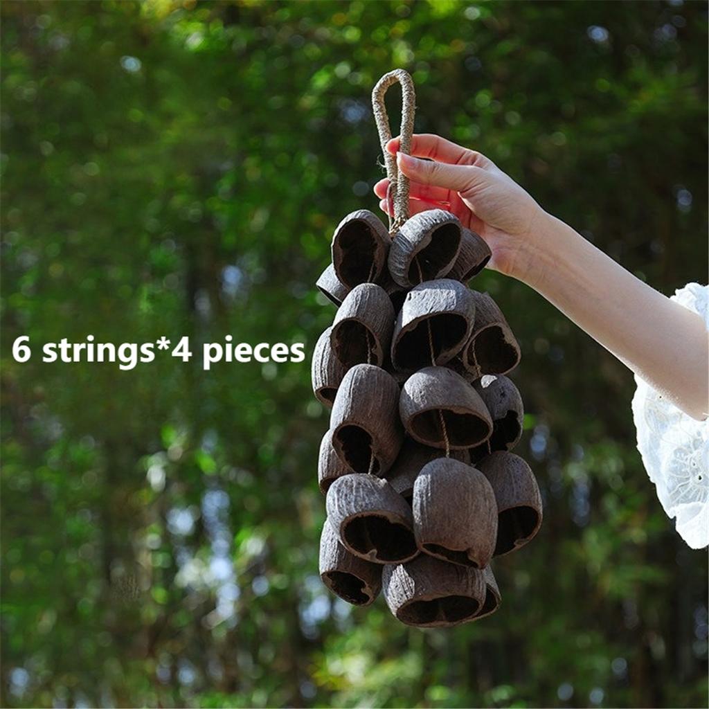 Campanello a Mano Naturale con Guscio di Frutta Guarigione del Suono Campanelli a Vento da Esterno Meditazione Yoga Campanello Spirituale Strumento a Percussione