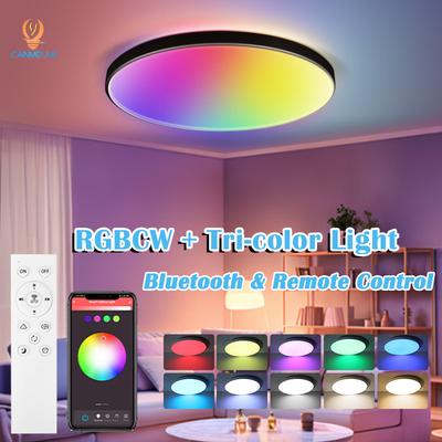 30W 40W 50W Living Room Kitchen Bedroom Modern Tri-color Lamps Dimmable Ceiling Light Remote Control LED Ceiling Lamp
