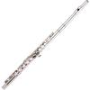 Western Concert Flute Nickel Plated 16 Holes C Key Cupronickel Woodwind Instrument with Cleaning Cloth Stick Gloves