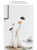 Modern Feng Shui Ceramic Flower Vase for Home Decor