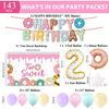 ZOiiWA 143Pcs Two Sweet Birthday Party Decorations Girls Donut Tableware Set Sweet Donut 2nd Party Plates Napkins Backdrop Tablecloth Banner Balloons