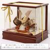 May Day Doll Helmet Display Case, Acrylic Display Case, Rai Design, Bronze, 28cm W x 22cm D x 26cm H, Panorama Case SP24509C