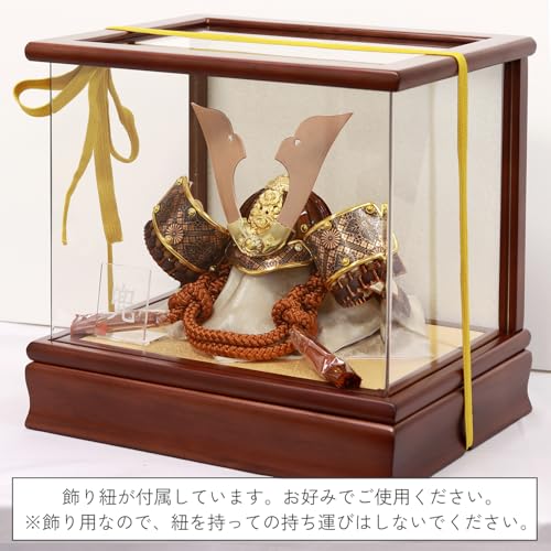 May Day Doll Helmet Display Case, Acrylic Display Case, Rai Design, Bronze, 28cm W x 22cm D x 26cm H, Panorama Case SP24509C