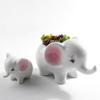 Creative  Ceramic Mini  Cute  White Baby Elephant Succulent Flower Pot Home Table Decro Oranment Craft