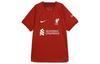 Nike Fodboldtrøje Herre Mørkerød DM1843-609