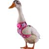 Rabbit Harness and Leash Small Animal Clothes for Rabbit Duck Small Animal