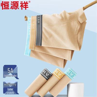 Cuecas – Calções bóxer