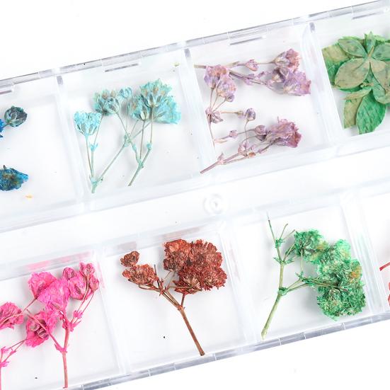 Nail Art Trockenblumen Einzigartige exquisite konservierte Nagelaufkleber aus Kunststoff für Nagelstudios