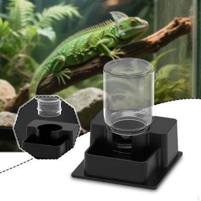 Bebedouro Automático para Répteis com Garrafa Suprimentos Criativos para Animais de Estimação Dispensador de Água Recipiente Ferramenta para