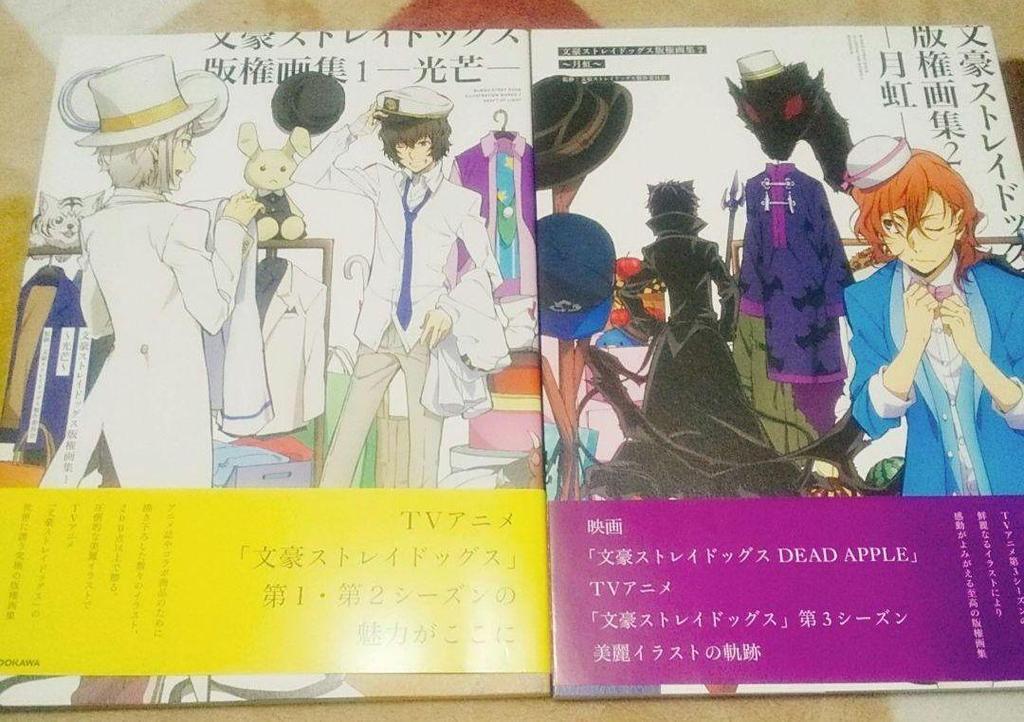 [USED] Bungo Stray Dogs Art Book