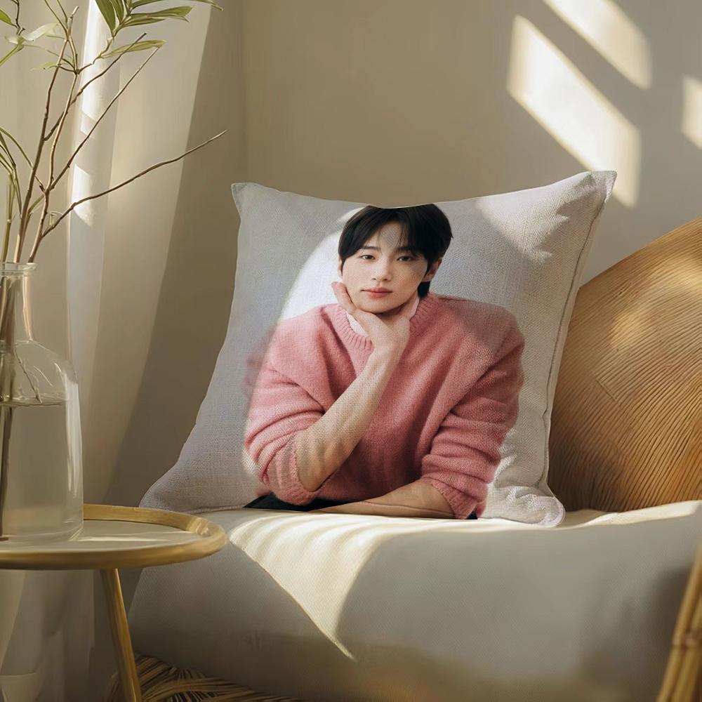 Byeonwoo-Seok Pillow Case Pillowcase, Double-Sided Printed, Sofa Cushion, Bedroom Headboard