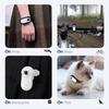 Hundeortungs-Halsband Sportkamera mit Videoaufzeichnung Kein WLAN Benötigt Katzenhalsbänder Kamera Outdoor Kabelloses Halsband Haustierzubehör