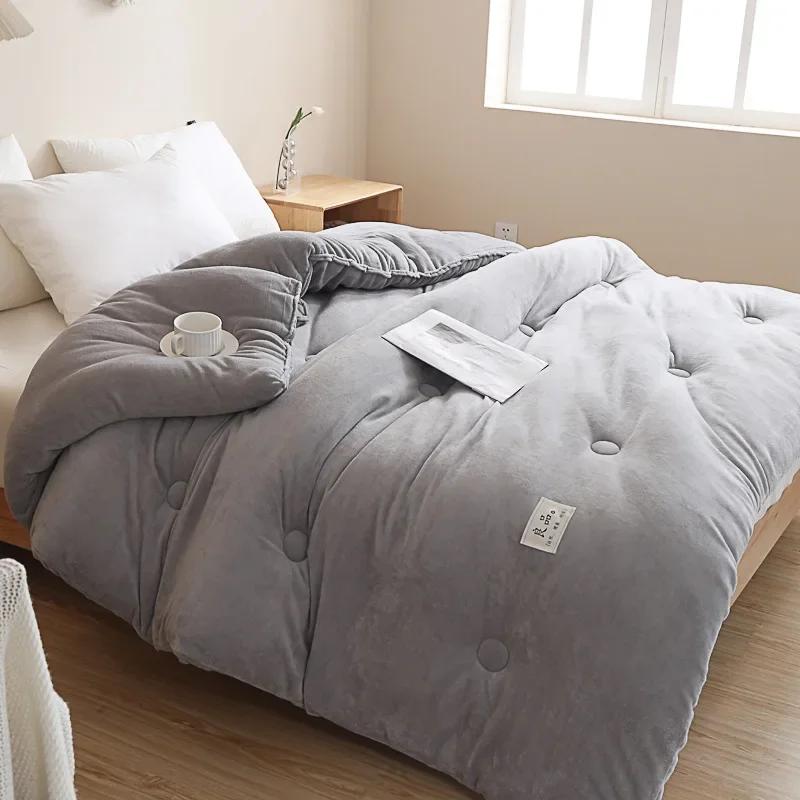New Thickened Warm Double-sided Milk Fleece Single Double Winter Quilt Core Skin-friendly Warm Not Sultry