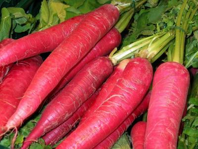 250 Oosterse roze radijszaden - tuingroenten - reproduceerbare boerenzaden - SemiSauvage