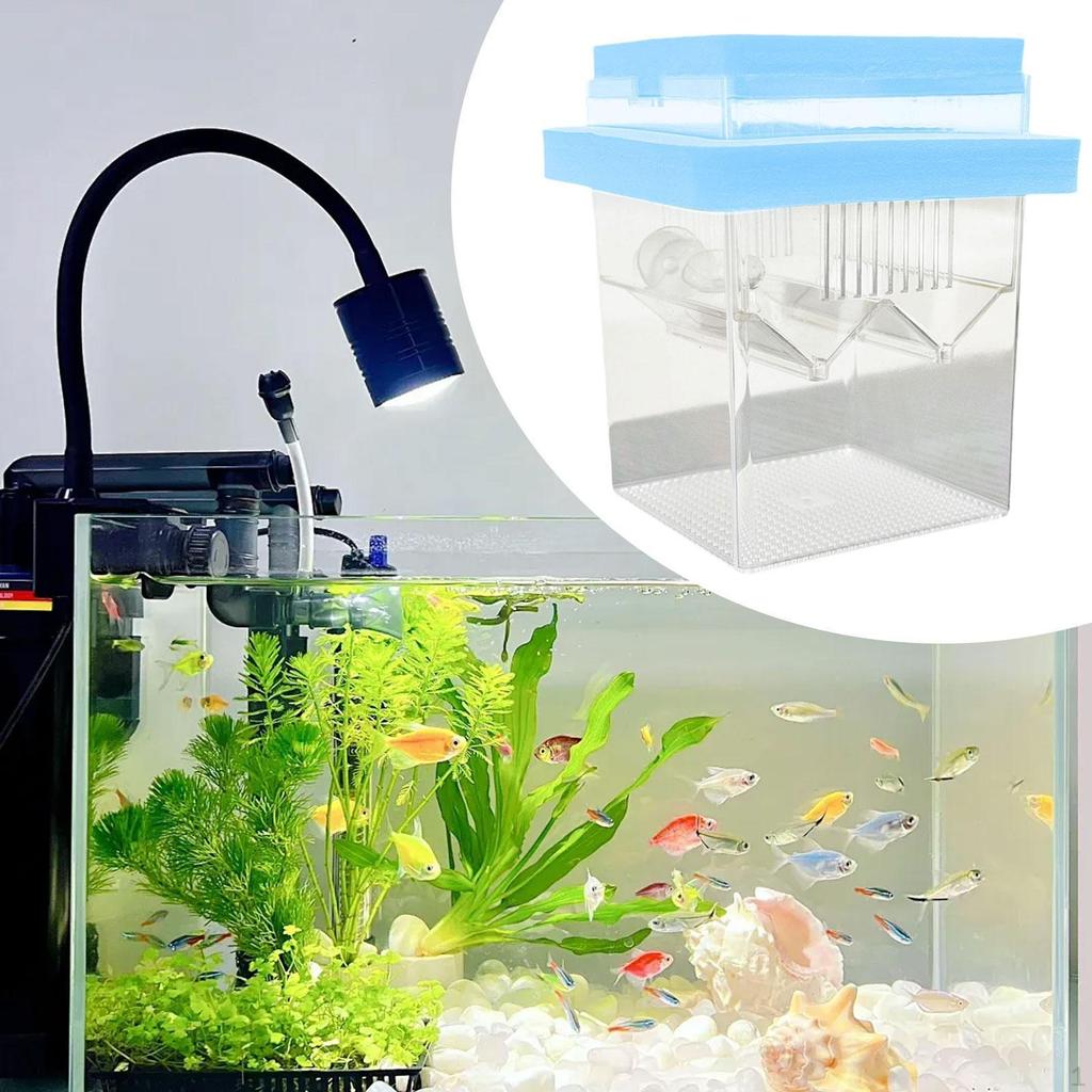 Aquarium Breeder Box Floating Fish Tank Hatchery Small Feeder Fry
