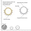 Right Grand ASTM F136 Titanium 16G CZ Hinged Clicker Segment Hoop Ring Sunburst CZ Daith Earring Septem Nose Piercing Jewelry