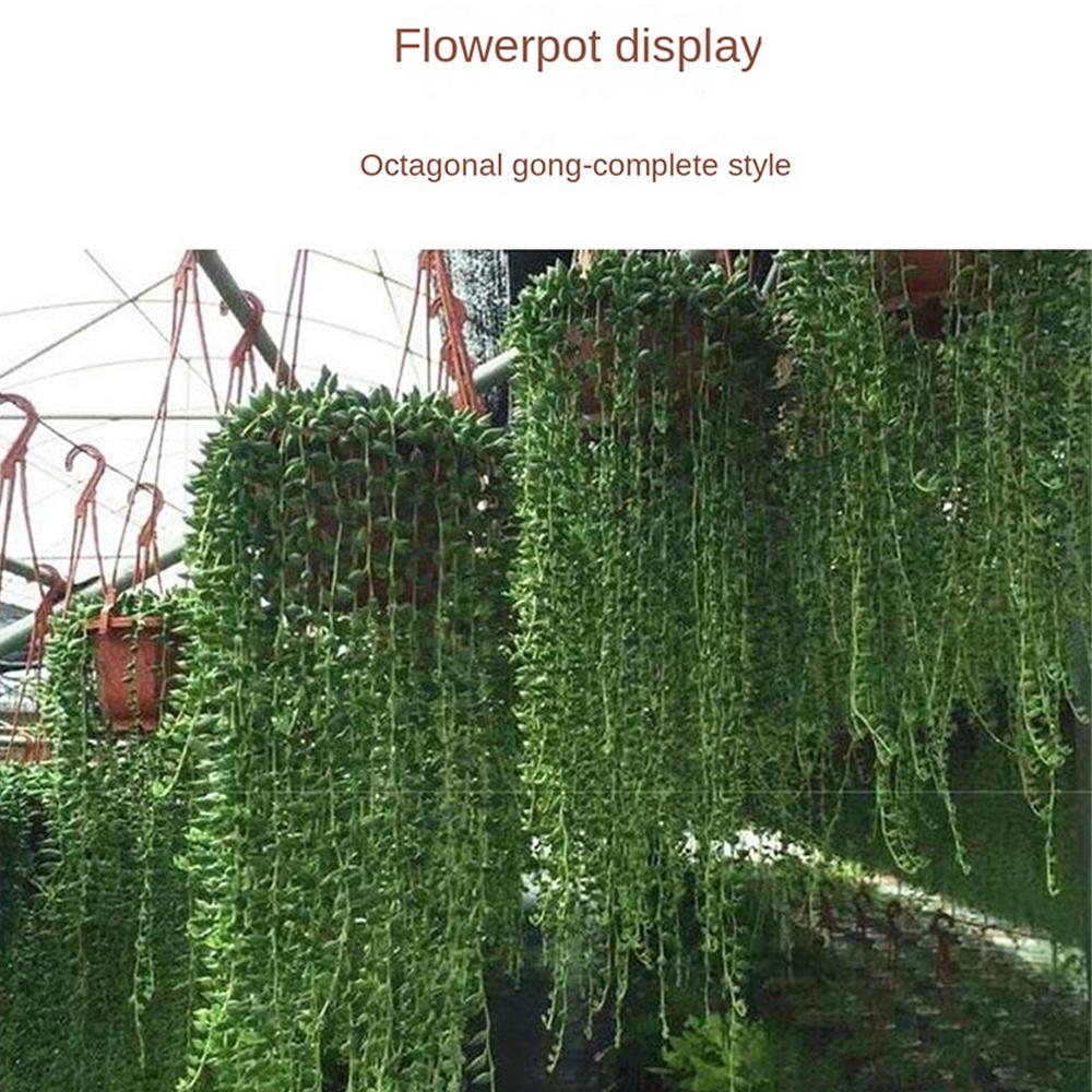 Ghiveci suspendat Ghiveci de flori din plastic Ghiveci pentru suculente Ghiveci suspendat pentru orhidee Pentru balcon Grădină Materiale de plantare 9.8cm