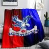 1Pc Crystal Palace Print Flannel Blanket High Quality Warm Comfortable Cover for All Seasons Perfect for Gifts Home Decor