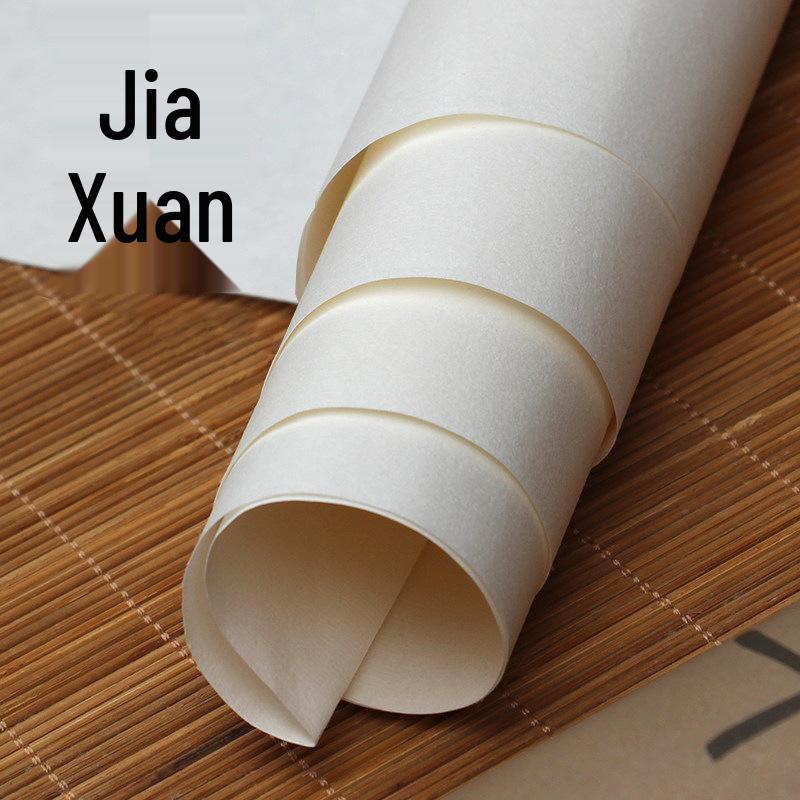 Thickened Jiaxuan Xuan Paper for Ink Wash and Bird Painting 68x68cm Raw Xuan