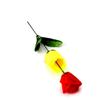 Colorful Rose Discoloration Roses Red Change Yellow Changing Color Rose  Player Magic Props