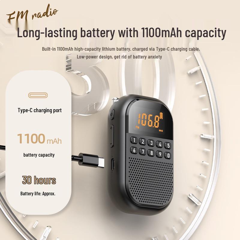 Mini Bluetooth Rechargeable FM/AM Radio with Card Slot