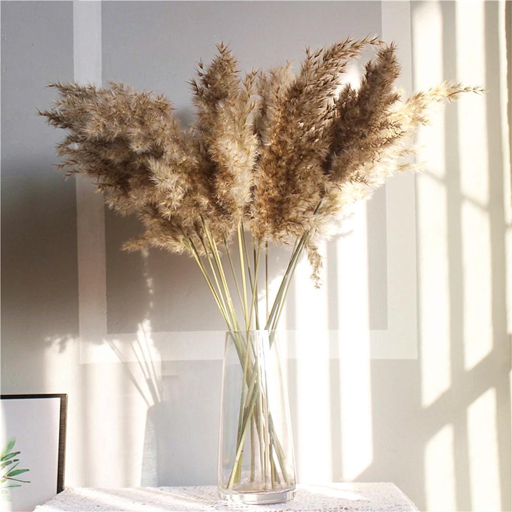 10/20Pcs Natural Real Dried Pampas Grass Bouquet Fluffy Feather Wedding Special Flower Ceremony Decoration Modern Home Decoration