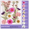 Handmade Pressed Flower Bookmark and Epoxy Sticker Pack with Real Leaf and Plant Specimens for DIY Face Makeup.