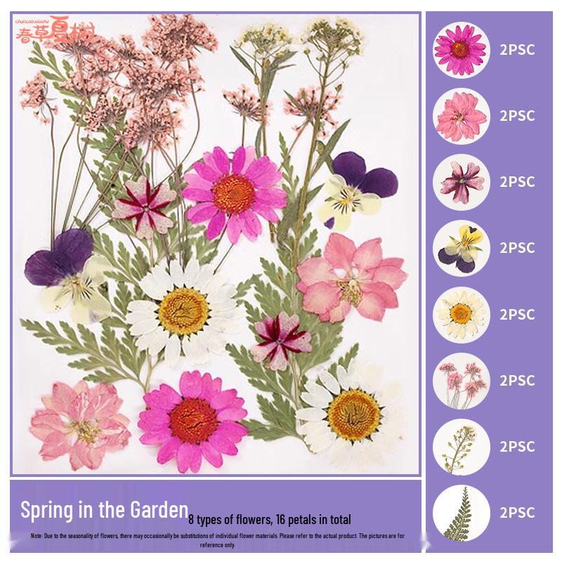 Handmade Pressed Flower Bookmark and Epoxy Sticker Pack with Real Leaf and Plant Specimens for DIY Face Makeup.