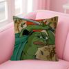 Funny PPepe The Frog   Personalized Pillow Cover Kids Bedroom Wild Party Decor Pillowcase kid Birthday shower Gift