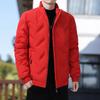 Men's Down Jacket Autumn and Winter Simple Trend Stand-up Collar Bread Jacket Men's Cold and Warm Youth Down Jacket