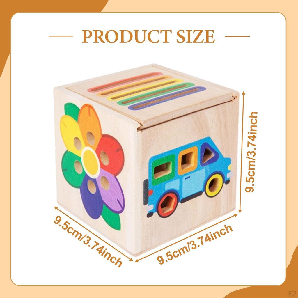 Shape Sorter Toy Sorting Matching Early Learning Educational Hand Eye Coordination