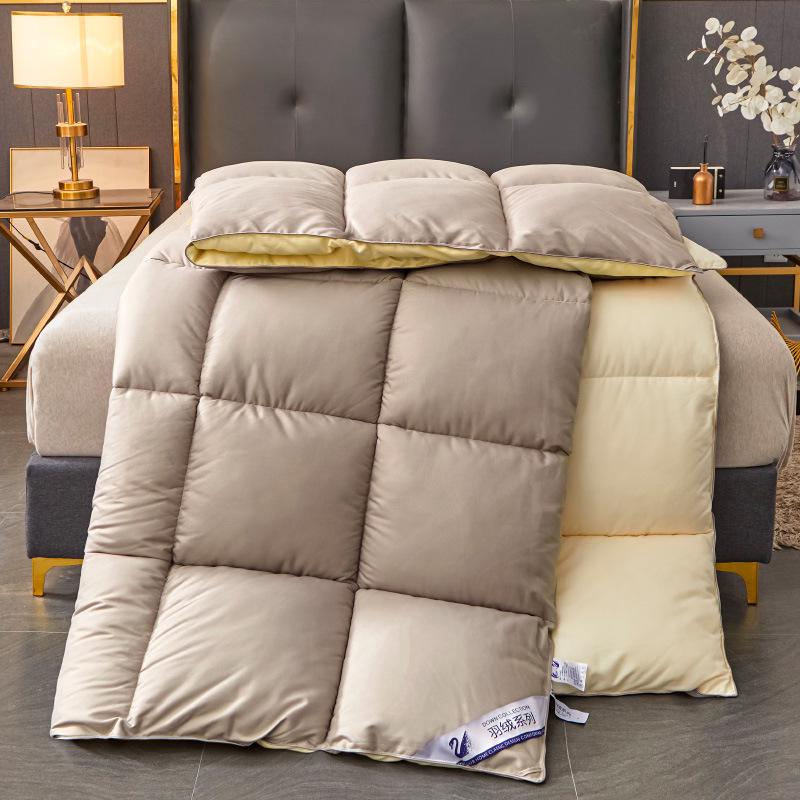Downproof Velvet-Quilt: All-Season Comfort for Homestay and Students