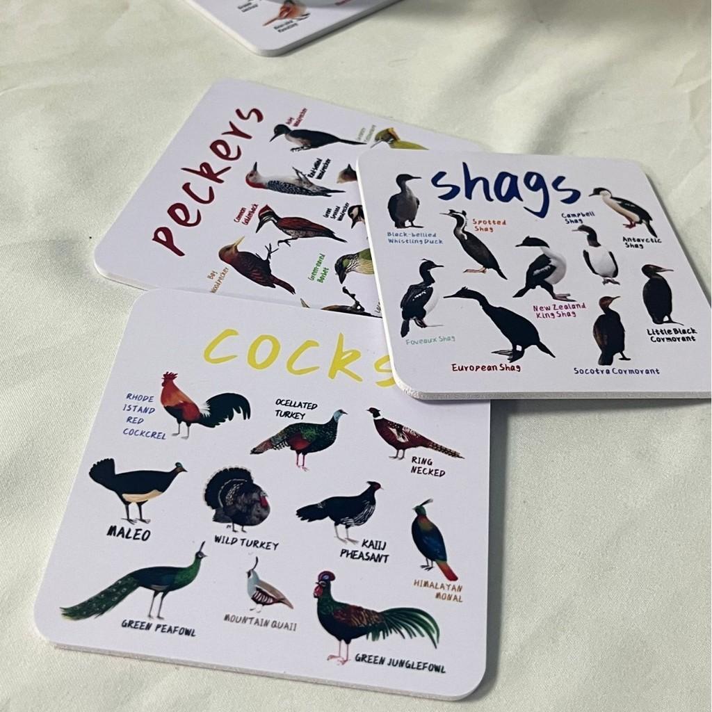 American Style Bird Pun Coasters Set Of 6 Durable Wooden Coasters Unique Home Decor