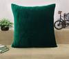 Decorative Cushion Cover Green Home D    Cor Throw Pillow Velvet Case - Choose